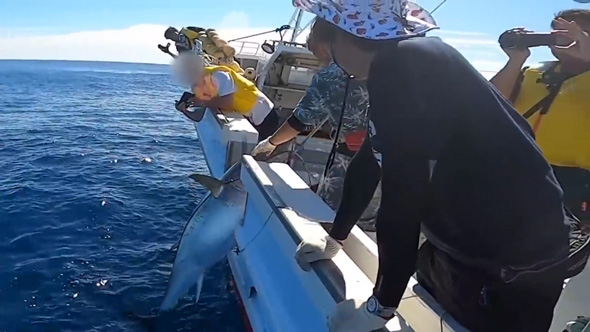 青森県 大間  巨大 マグロ 一本釣り 体験 漁師の船 解体 きまぐれクック