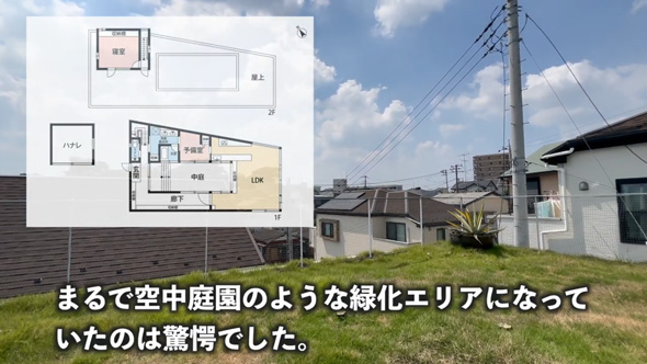 超緑化 豪邸 中庭 屋上 ルーフテラス 戸建て 内見