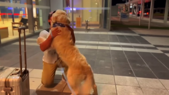 お父さんに抱きつくゴールデンレトリバーのワンコ