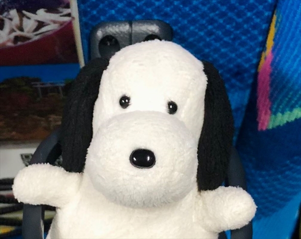 ぬいぐるみがバスで見つけたベストプレイス