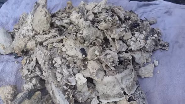 築6年の家の排水管から出てきた油汚れ