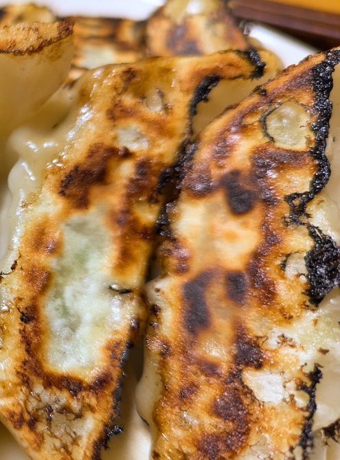 パンダ 餃子 奇跡 焼き色 模様