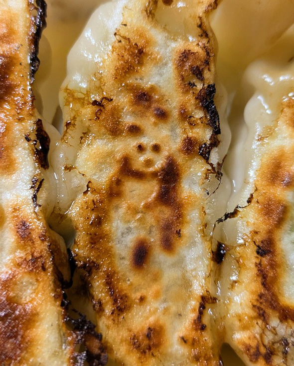 パンダ 餃子 奇跡 焼き色 模様