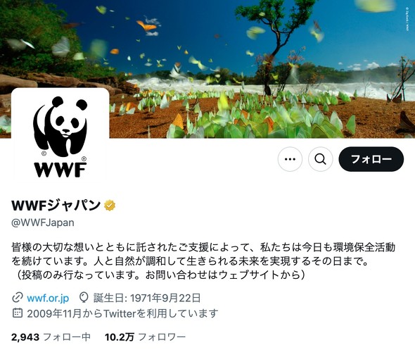 パンダ 餃子 奇跡 焼き色 模様