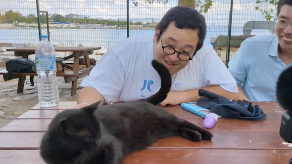 猫に遊ばれるバキ童