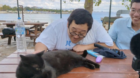 猫に遊ばれるバキ童