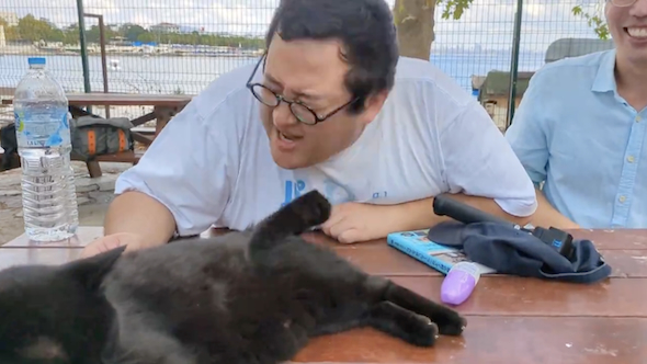 猫に遊ばれるバキ童