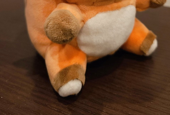 みがわりライチュウ