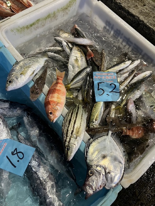 へんな魚おじさん