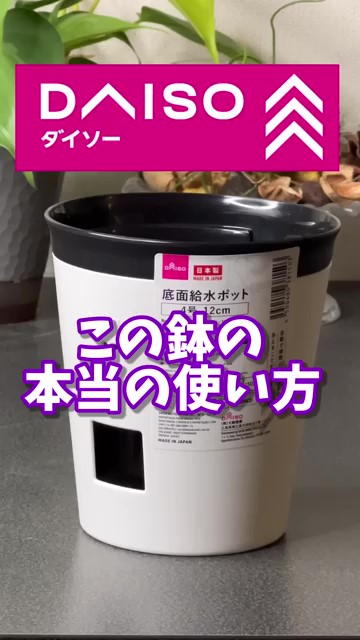 この鉢の本当の使い方
