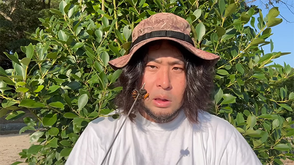 オオスズメバチを食べる