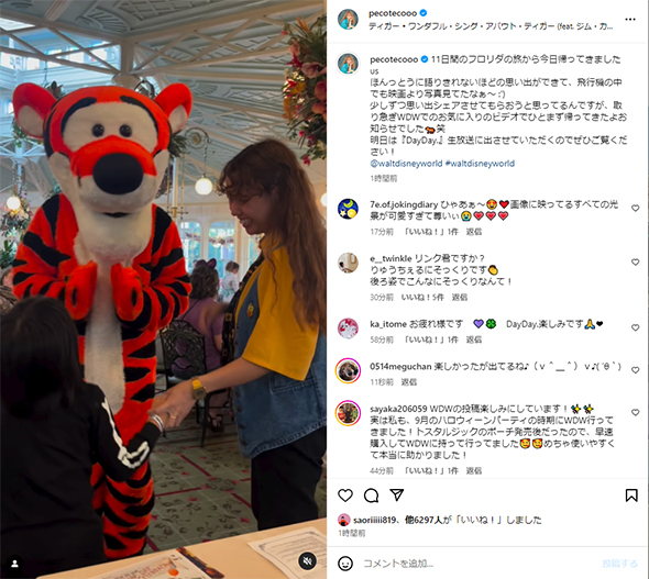 pecoと息子のリンク