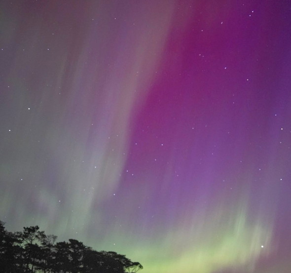 ウォンバットとオーロラ