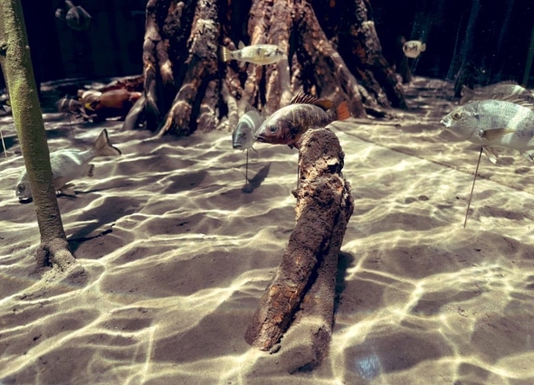 国立科学博物館のジオラマ