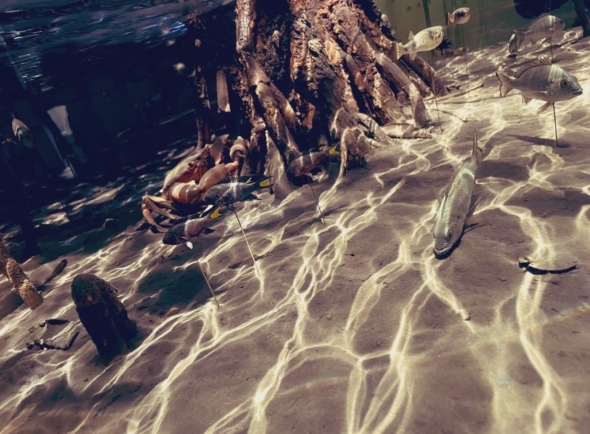 国立科学博物館のジオラマ