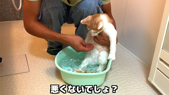 悪くないでしょ