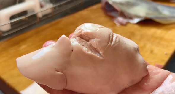 肝醤油とお刺身を食べる