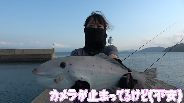 カメラが止まってるけど