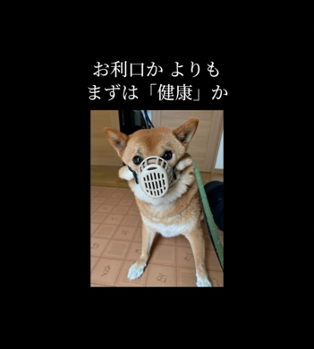 ワンコの気持ちに寄り添うのが大切