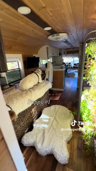 キャンピングカー