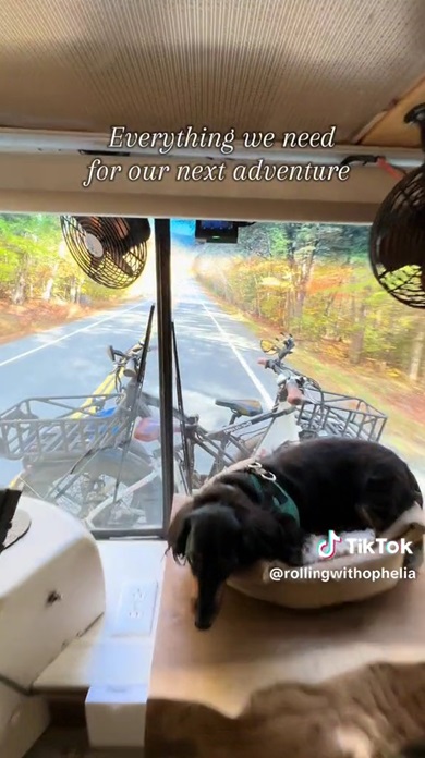 キャンピングカー