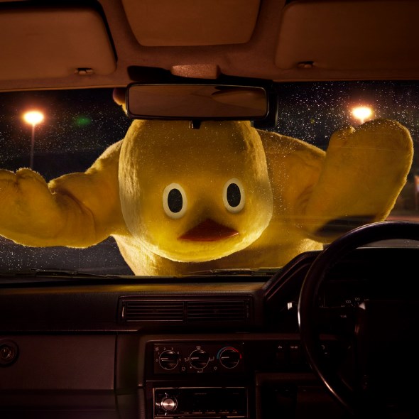 窓に張り付くひよこちゃん