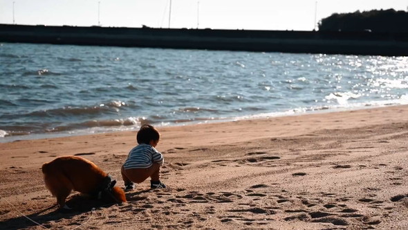 砂浜で遊ぶ男の子とワンコ