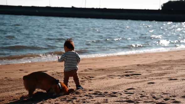 砂浜で遊ぶ男の子とワンコ