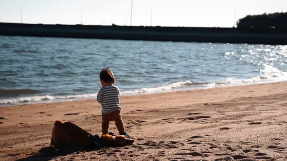 砂浜で遊ぶ男の子とワンコ