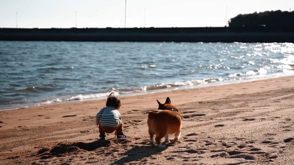 砂浜で遊ぶ男の子とワンコ