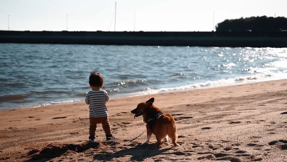 砂浜で遊ぶ男の子とワンコ
