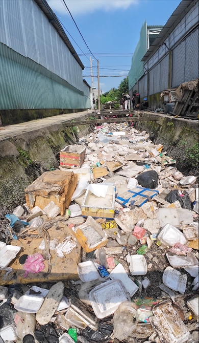 ごみに覆い尽くされた川を掃除