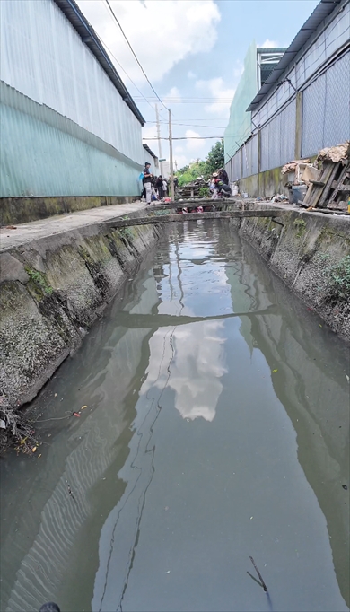 ごみに覆い尽くされた川を掃除
