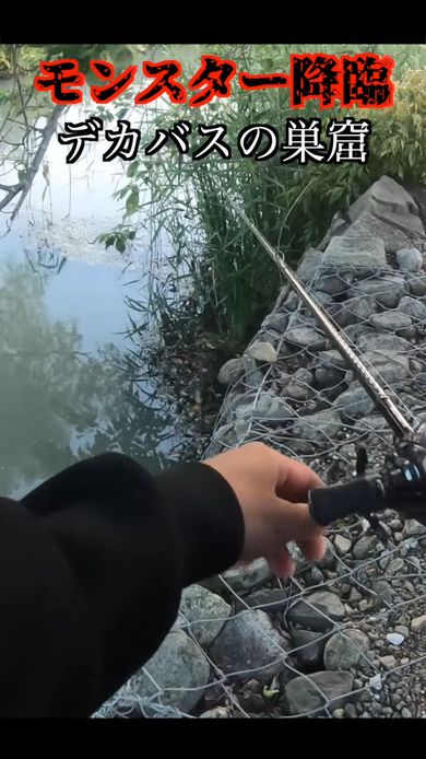 激戦の末にモンスター級の大型バスを釣り上げる動画