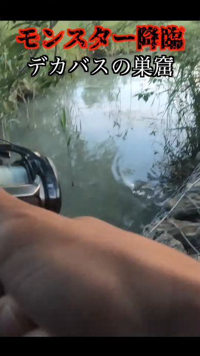 激戦の末にモンスター級の大型バスを釣り上げる動画