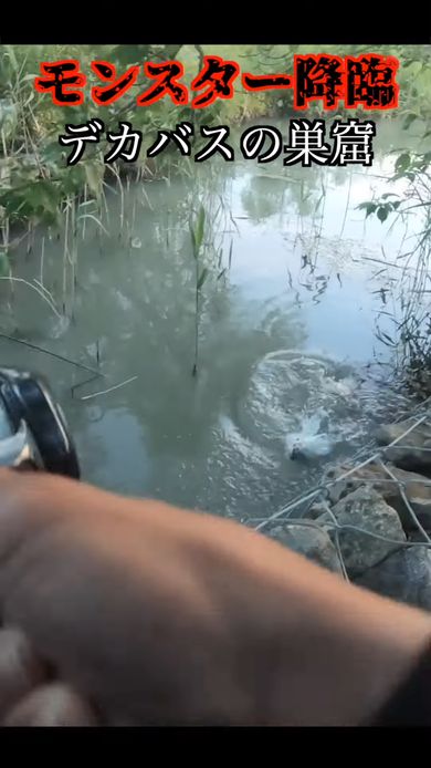 激戦の末にモンスター級の大型バスを釣り上げる動画