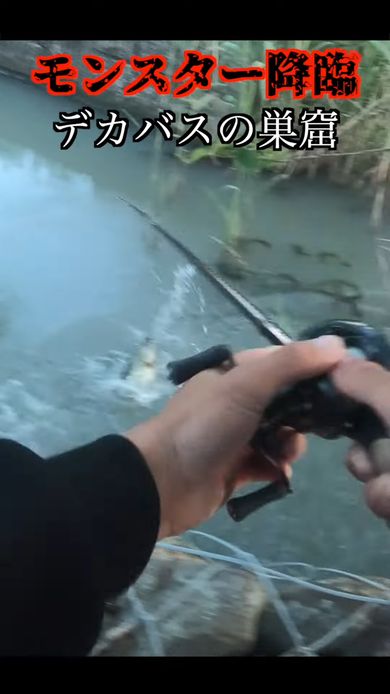 激戦の末にモンスター級の大型バスを釣り上げる動画