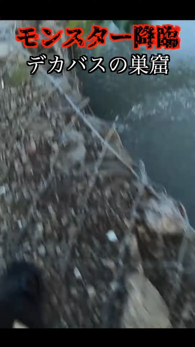 激戦の末にモンスター級の大型バスを釣り上げる動画