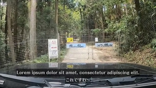 巨大迷路のような林道を進んでいったら