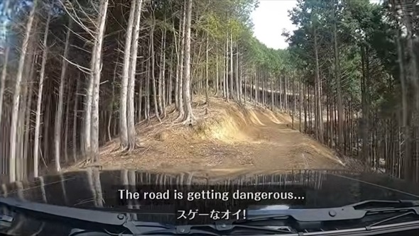 巨大迷路のような林道を進んでいったら