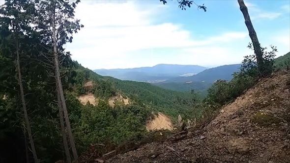 巨大迷路のような林道を進んでいったら