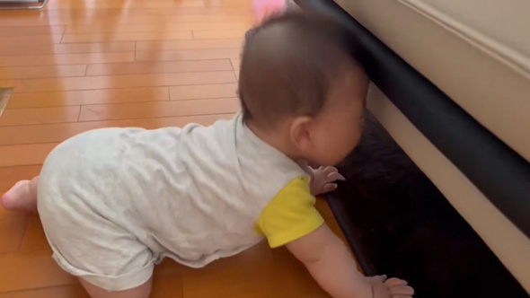 赤ちゃん ソファの下 入ろうとして 頭が引っ掛かる 人生1周目