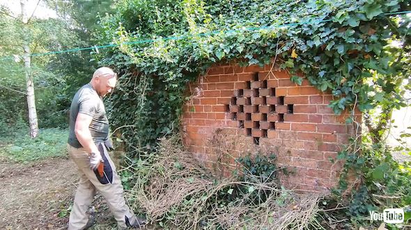 17世紀の庭のツタ除去