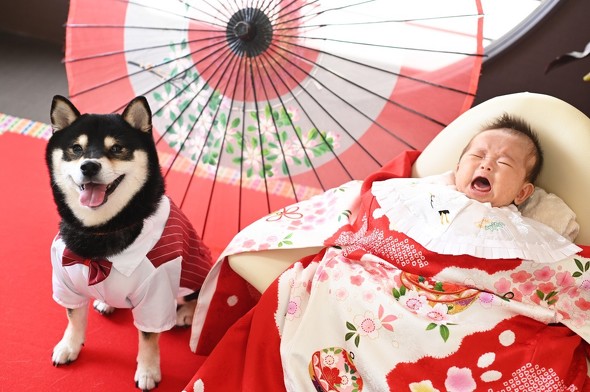 赤ちゃんとワンコ