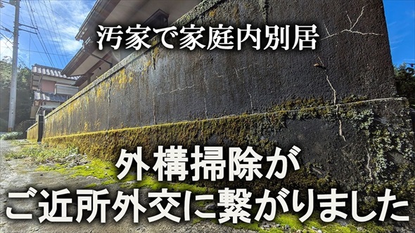 気持ち良すぎる苔剥がしビフォーアフター
