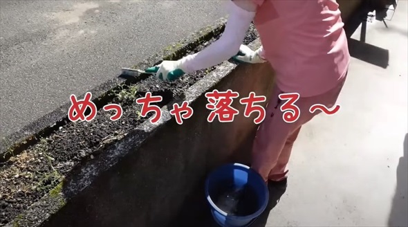 気持ち良すぎる苔剥がしビフォーアフター