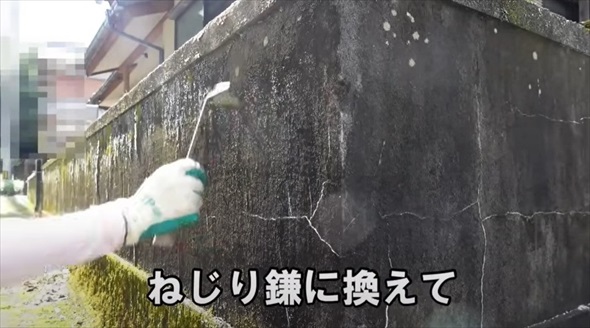 気持ち良すぎる苔剥がしビフォーアフター