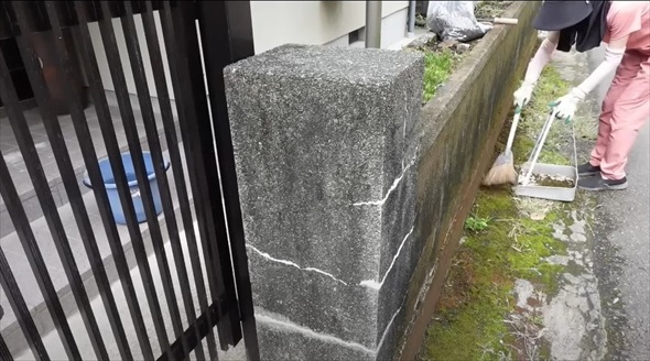 気持ち良すぎる苔剥がしビフォーアフター