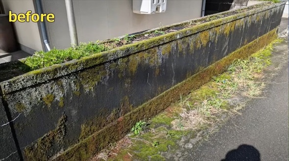 気持ち良すぎる苔剥がしビフォーアフター