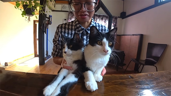 ハチワレ猫を抱きしめる女性